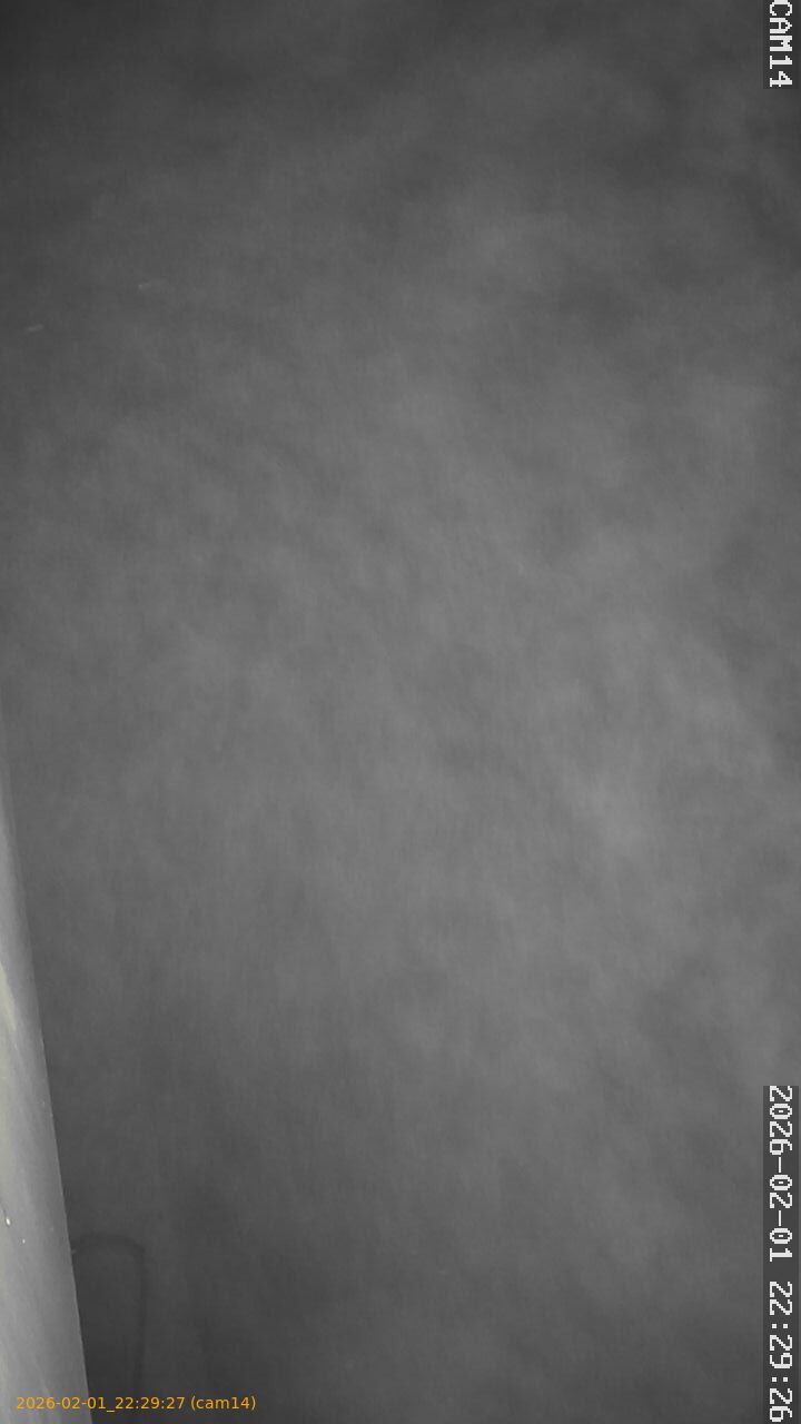 thumbnail_20260201222927