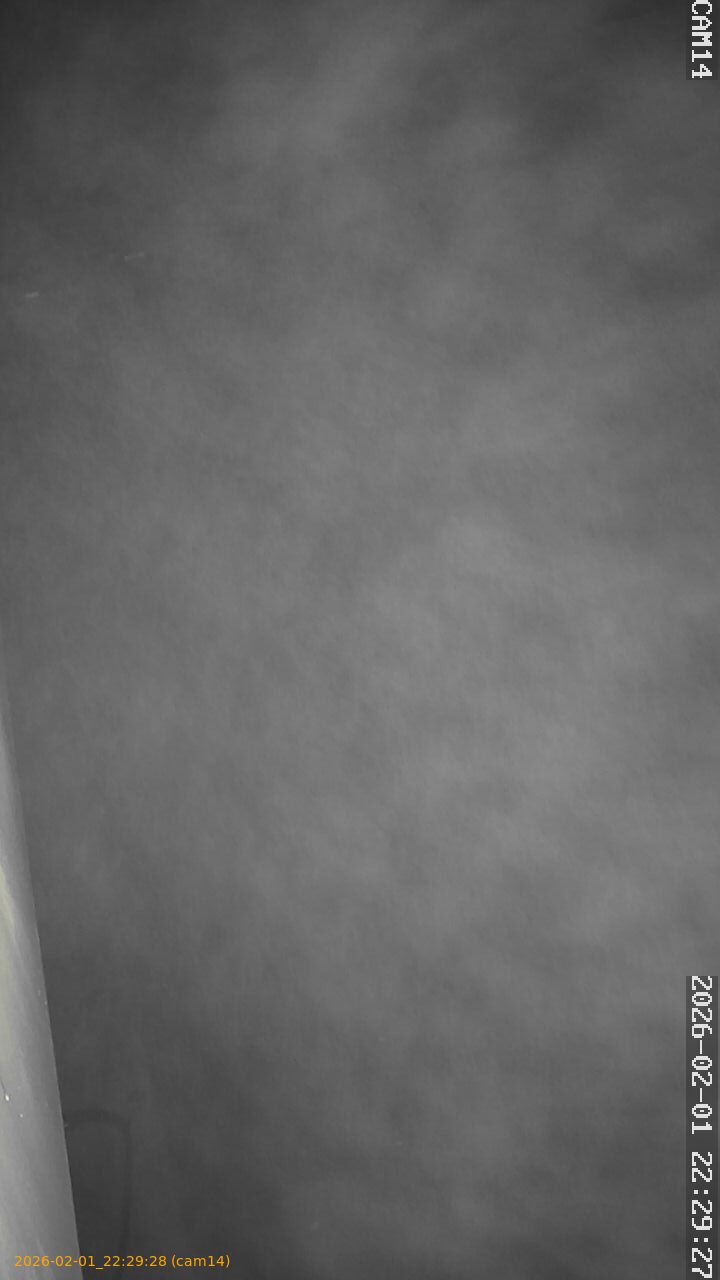 thumbnail_20260201222928