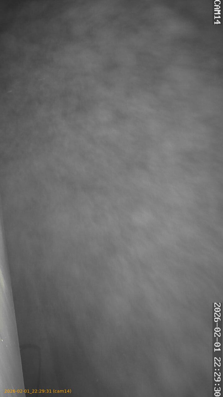 thumbnail_20260201222931