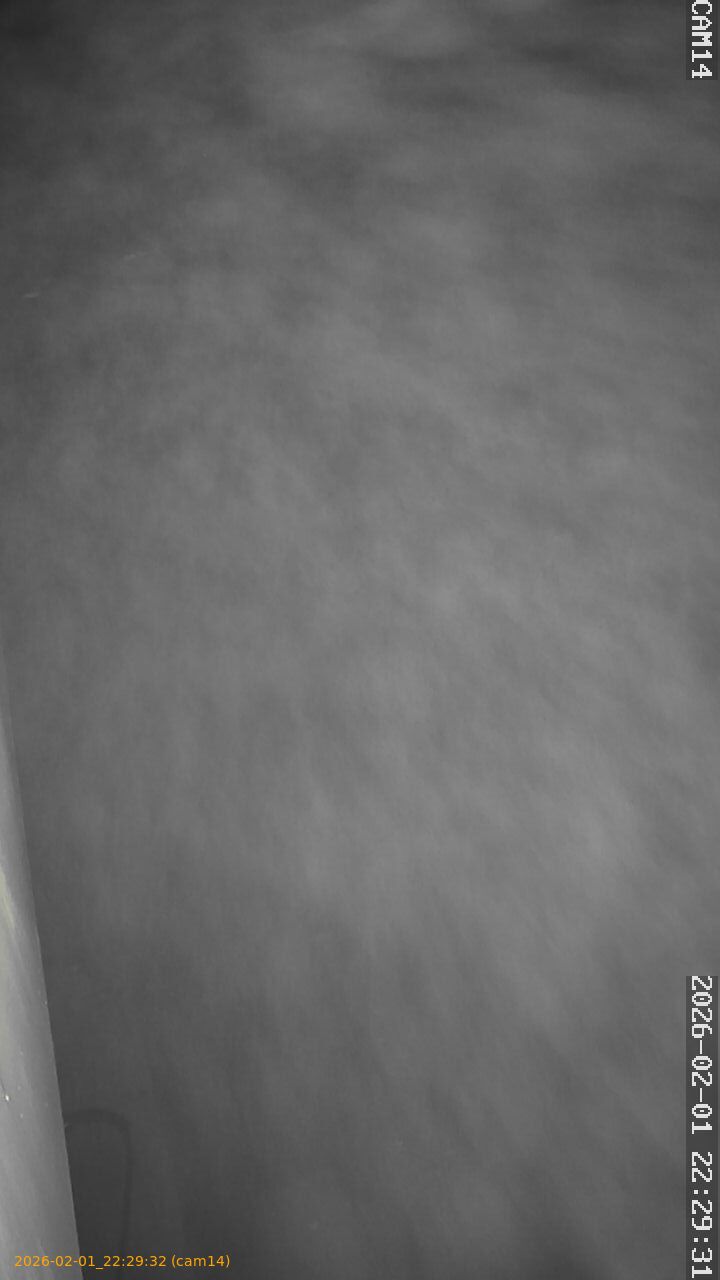 thumbnail_20260201222932