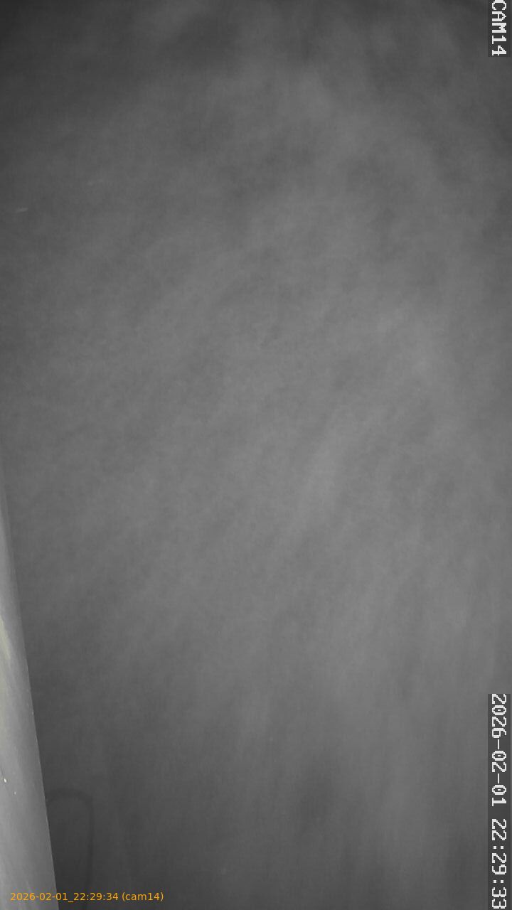 thumbnail_20260201222934