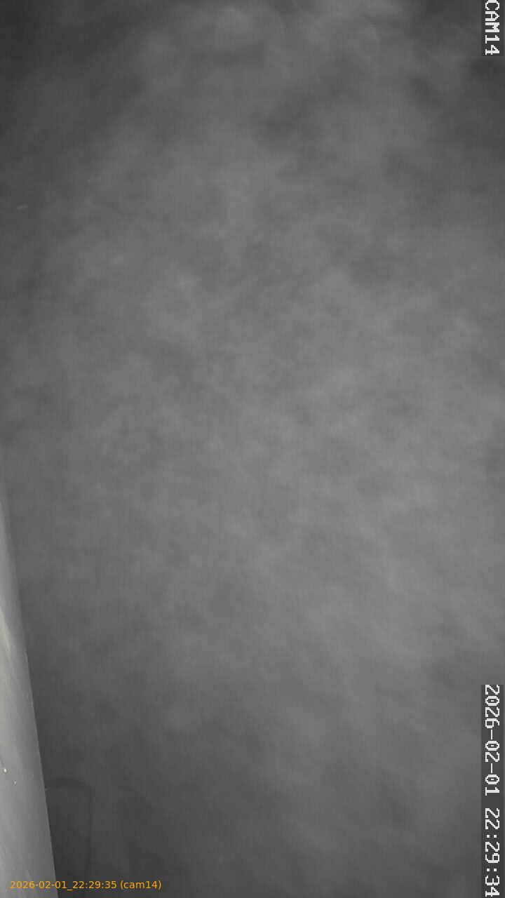 thumbnail_20260201222935