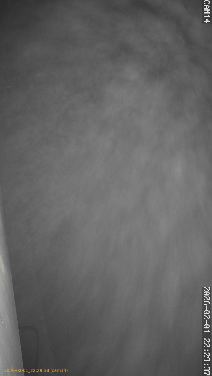 thumbnail_20260201222938