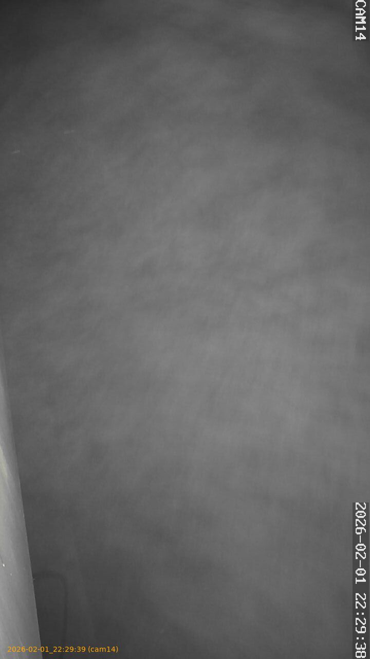 thumbnail_20260201222939