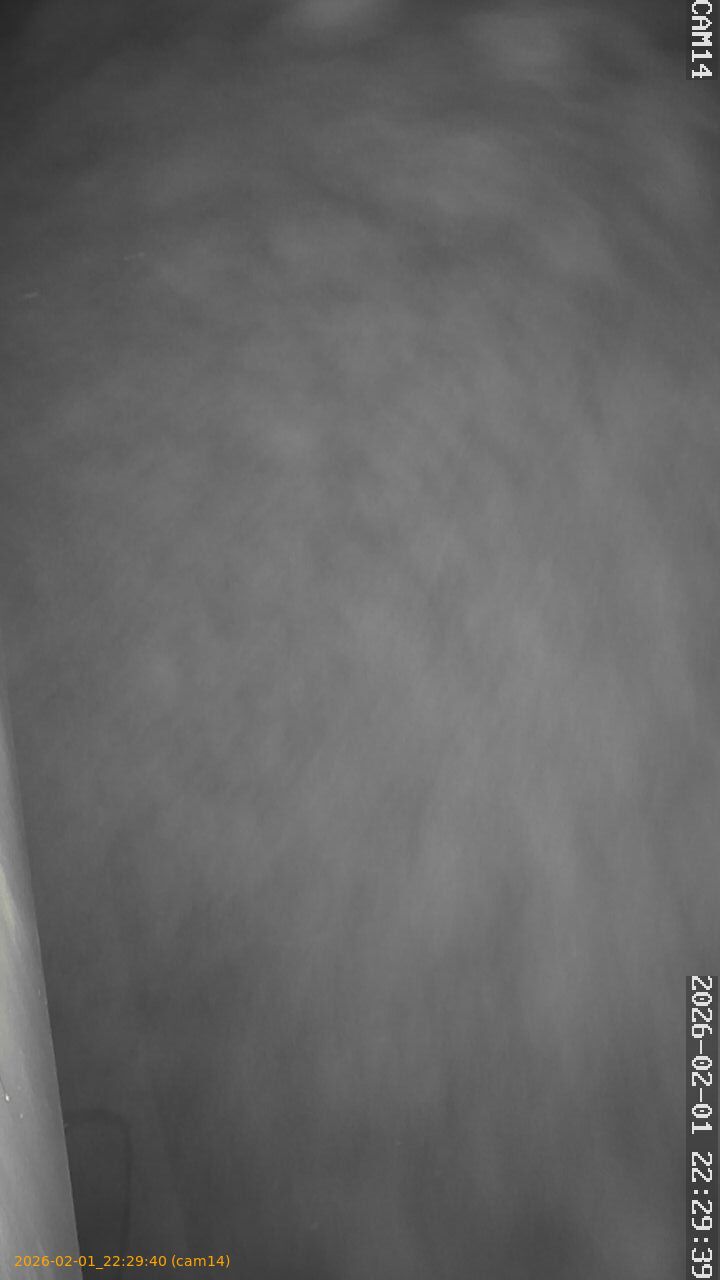 thumbnail_20260201222940