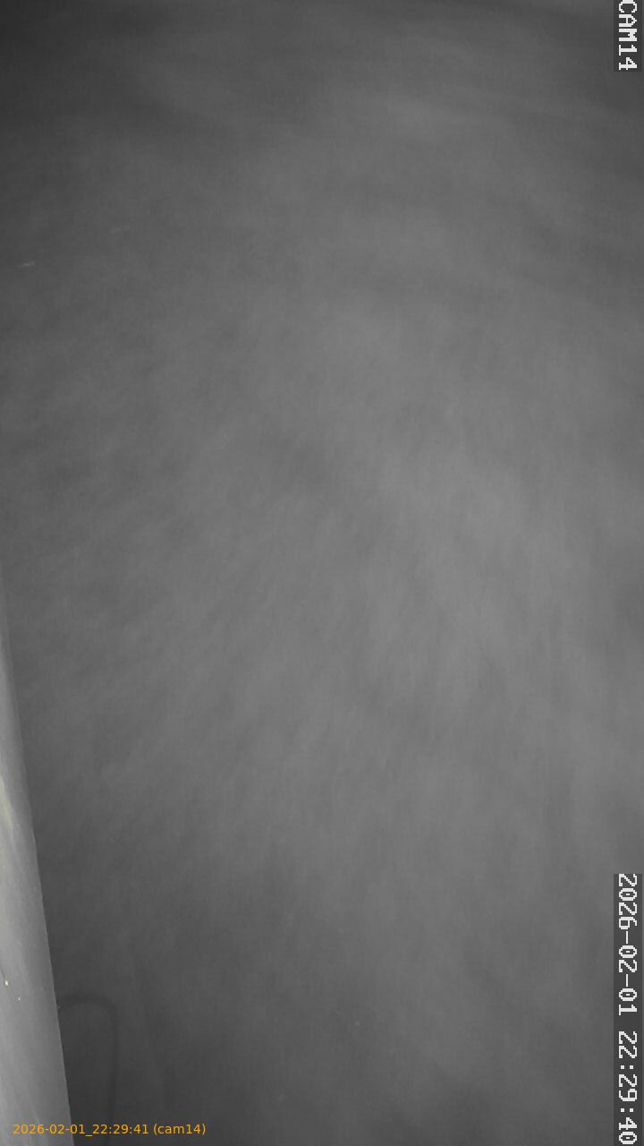 thumbnail_20260201222941