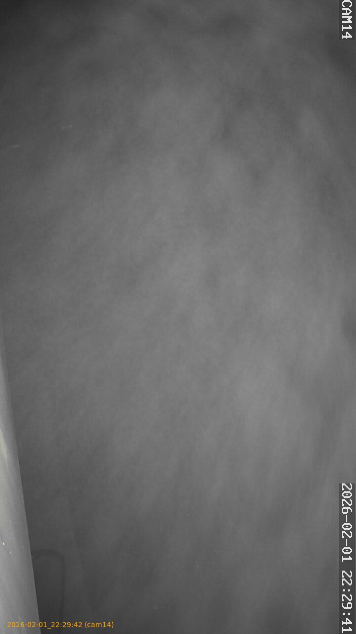 thumbnail_20260201222942