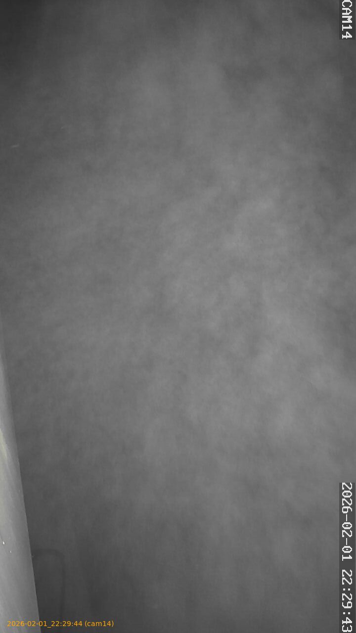 thumbnail_20260201222944