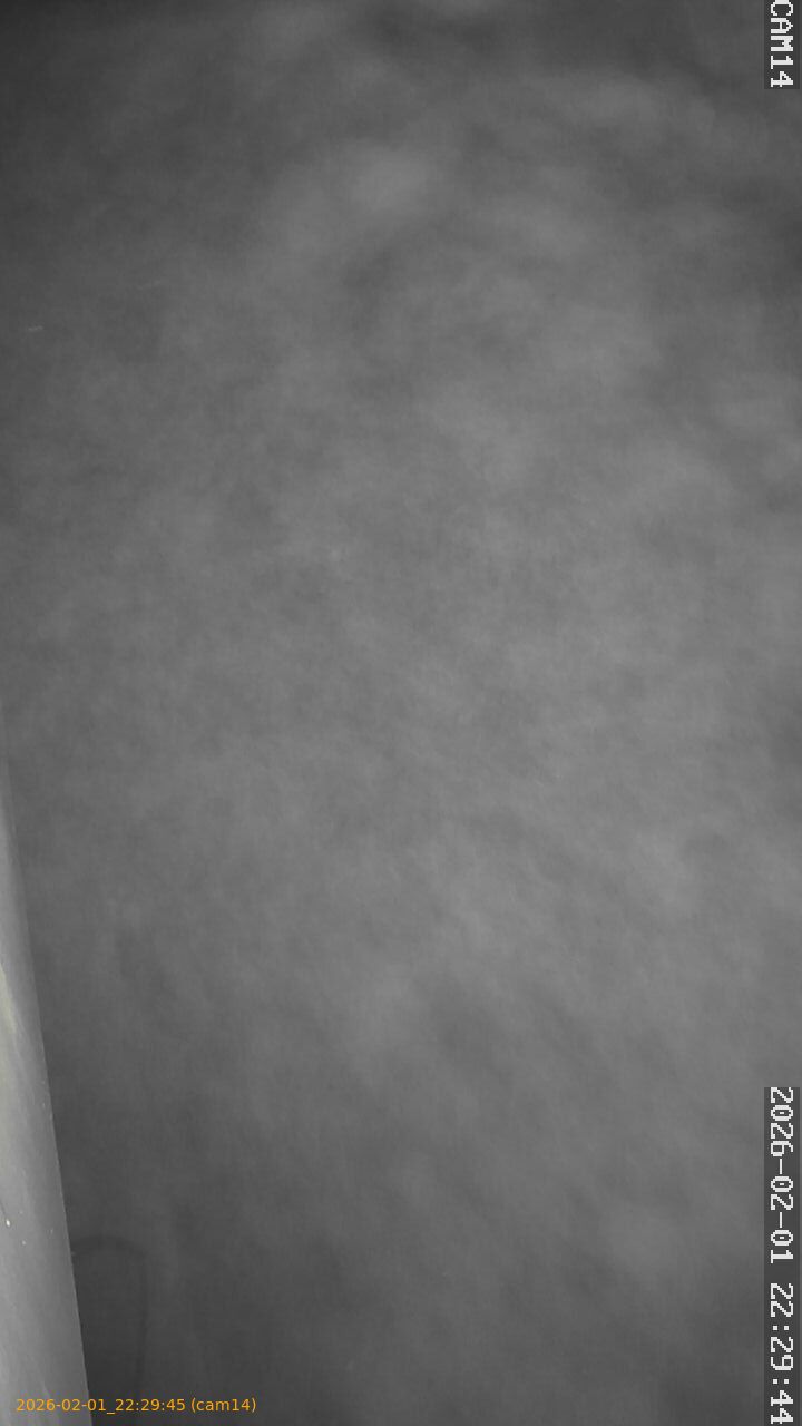 thumbnail_20260201222945