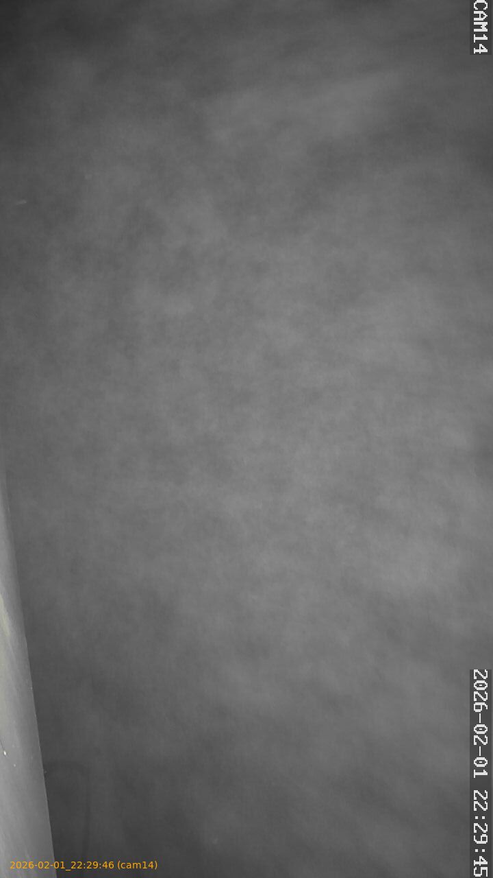 thumbnail_20260201222946