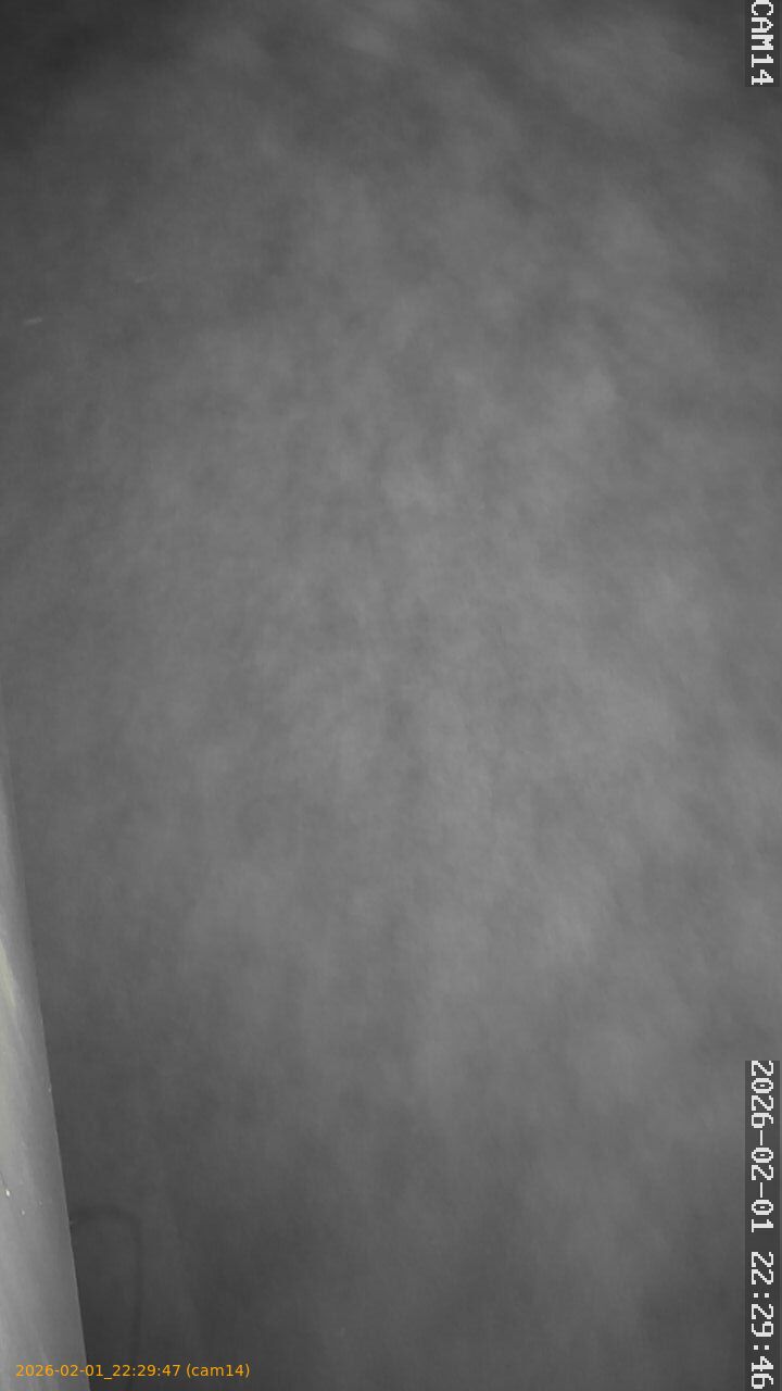 thumbnail_20260201222947