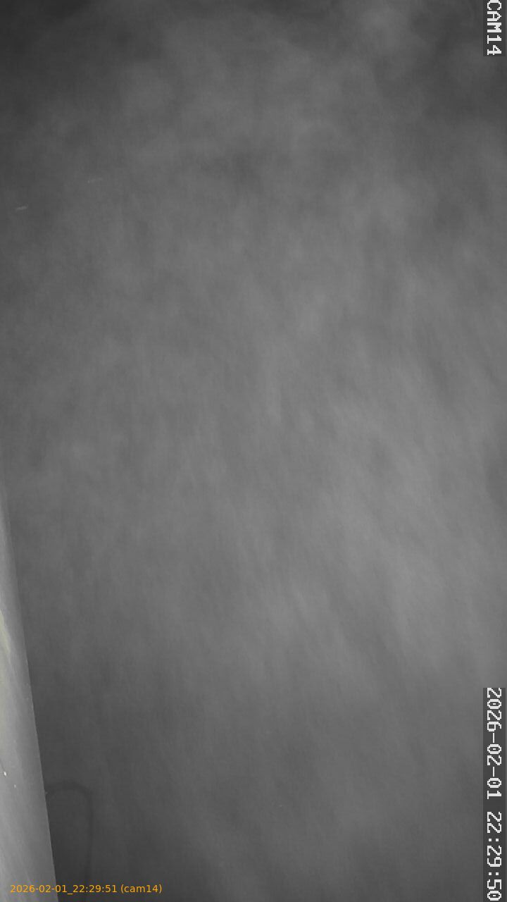 thumbnail_20260201222951