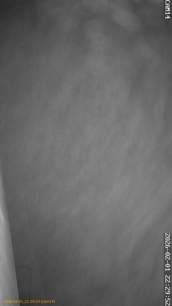 thumbnail_20260201222953