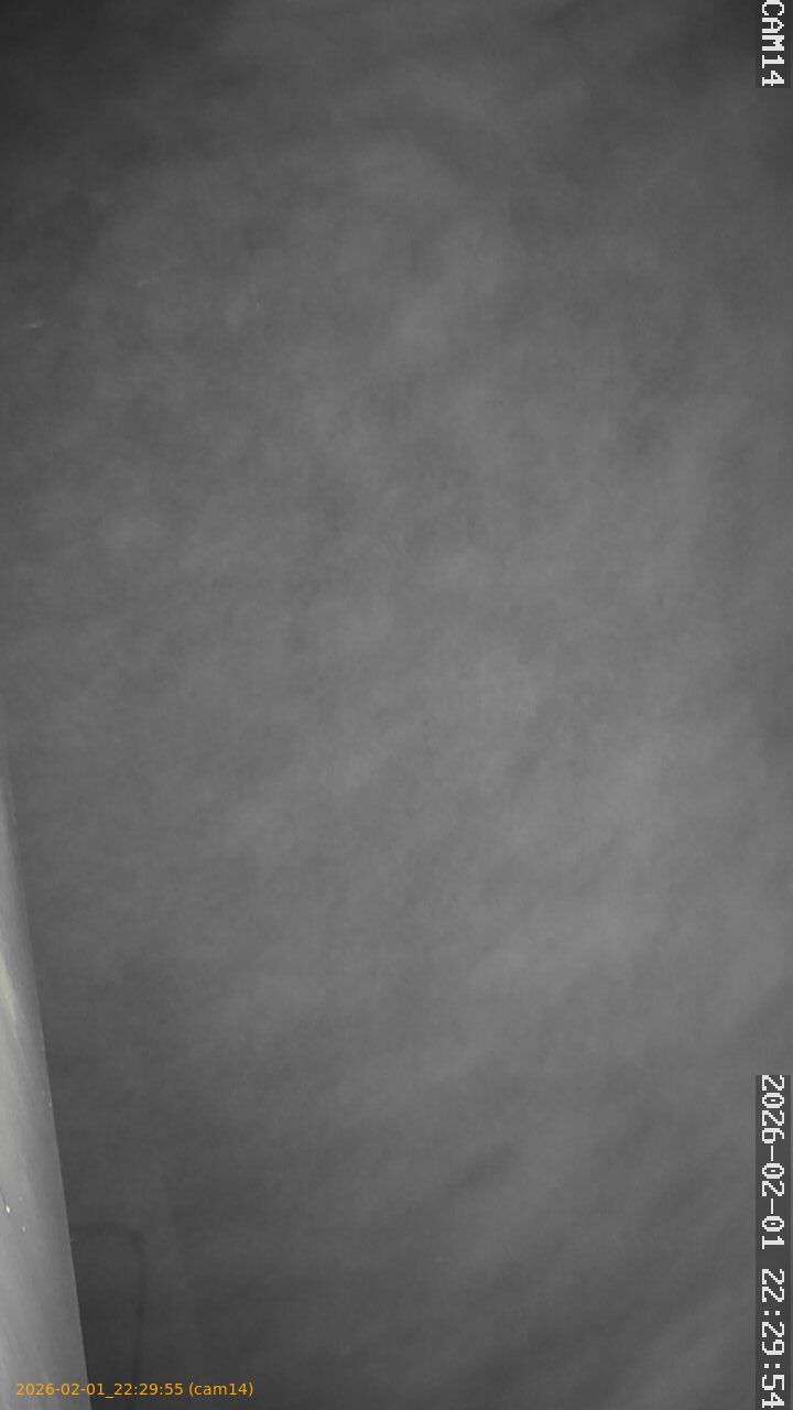 thumbnail_20260201222955