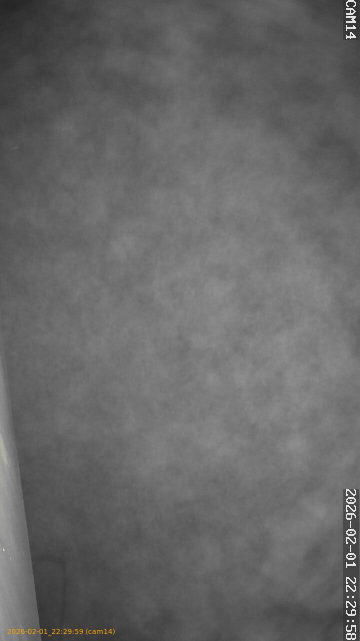 thumbnail_20260201222959