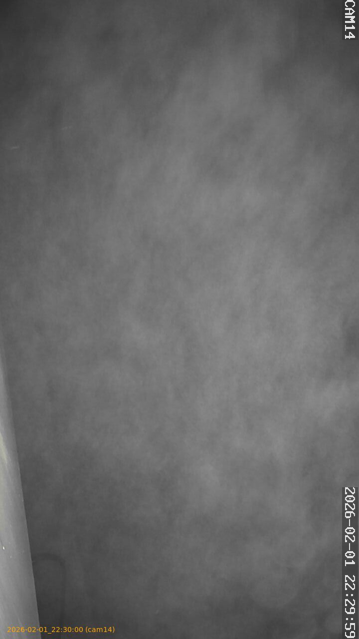 thumbnail_20260201223000