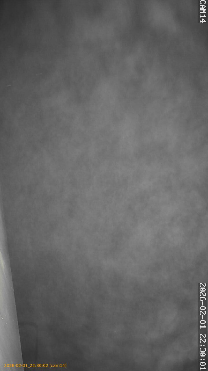 thumbnail_20260201223002