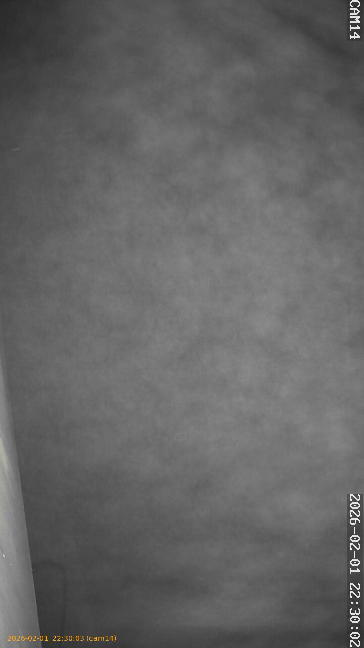 thumbnail_20260201223003