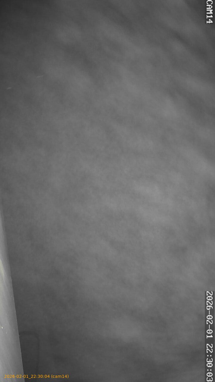 thumbnail_20260201223004