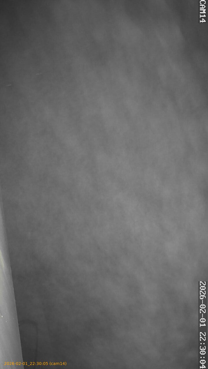 thumbnail_20260201223005