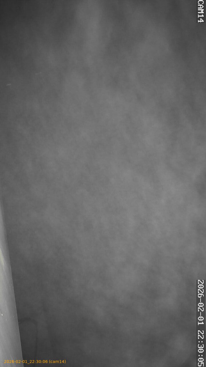 thumbnail_20260201223006