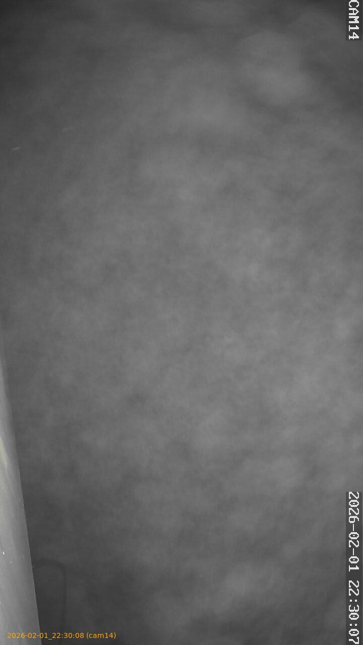 thumbnail_20260201223008