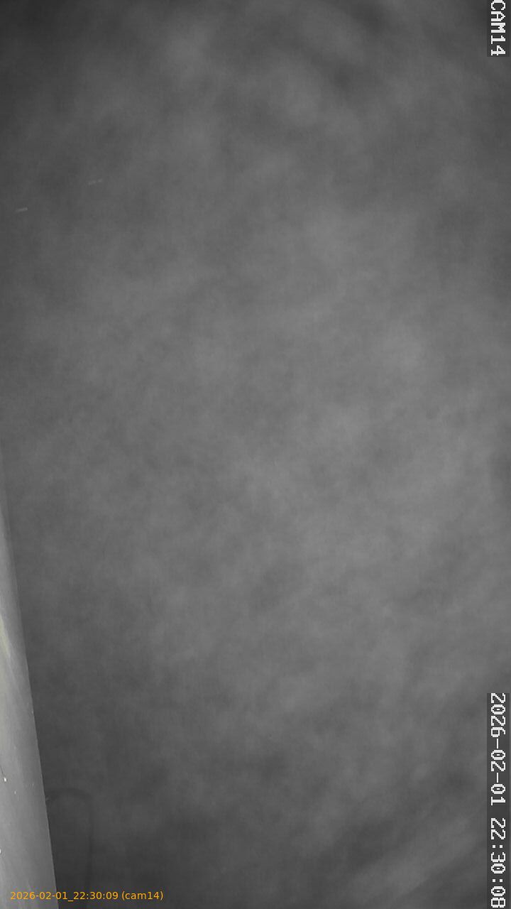 thumbnail_20260201223009