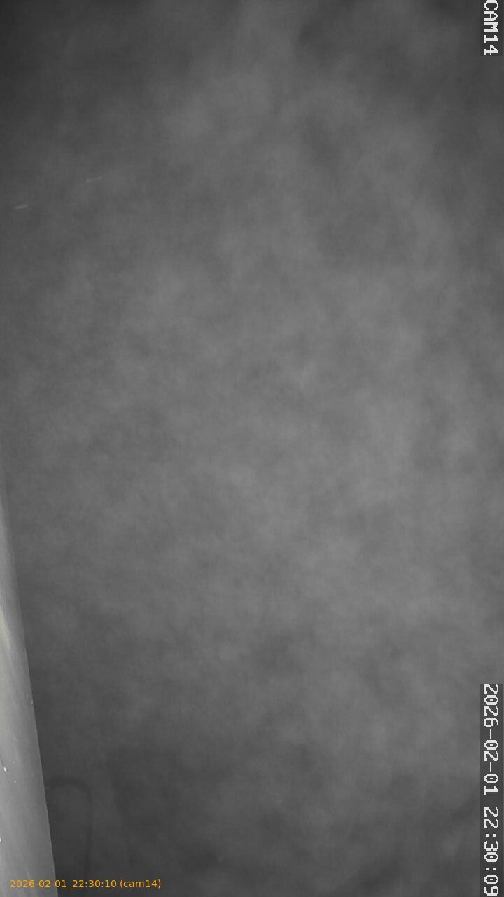 thumbnail_20260201223010