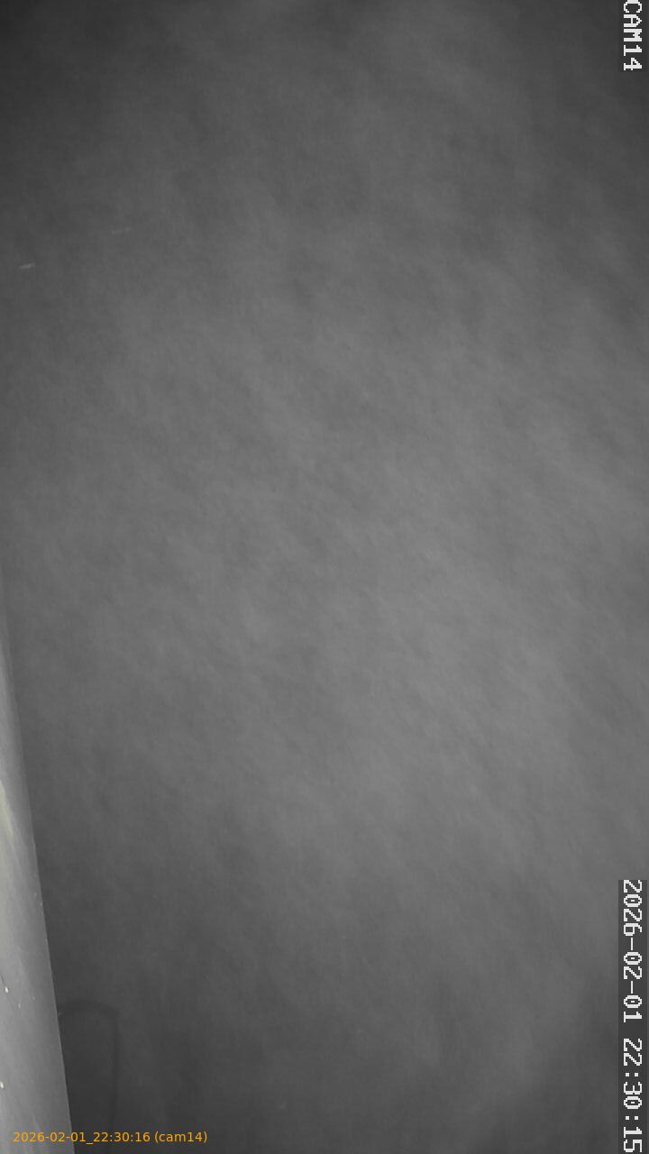 thumbnail_20260201223016