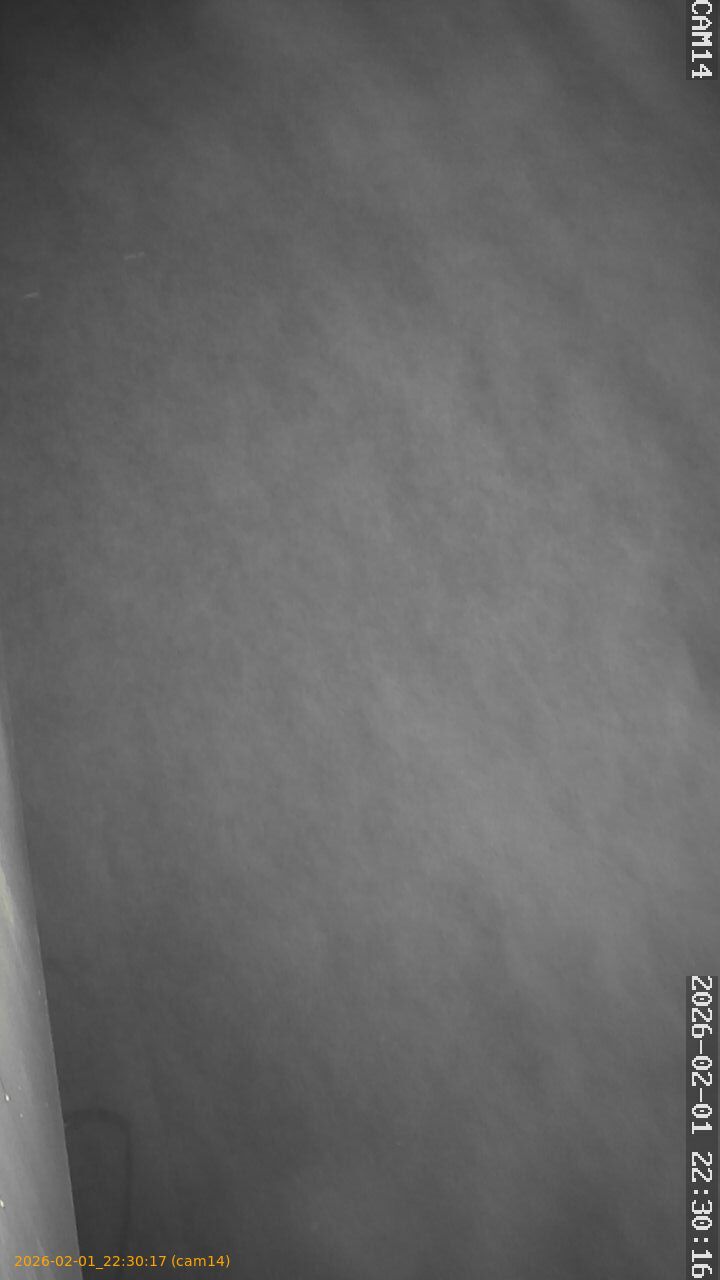 thumbnail_20260201223017