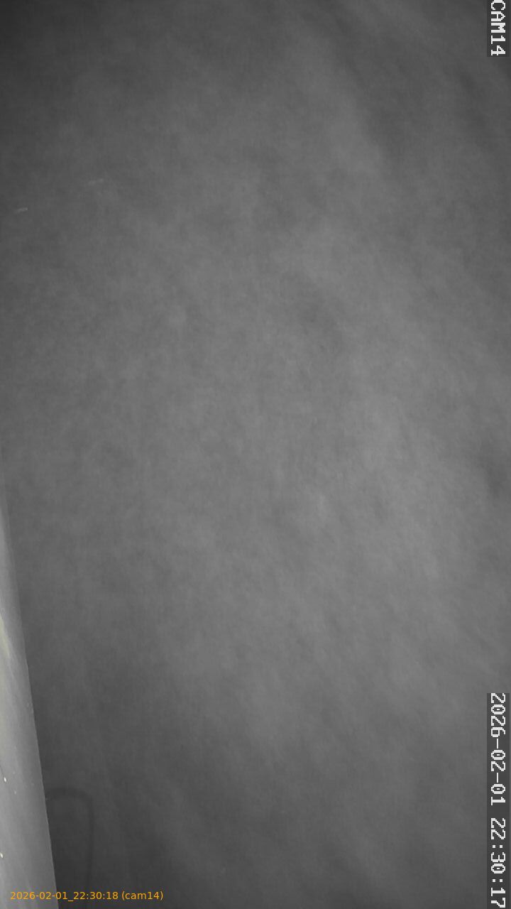 thumbnail_20260201223018