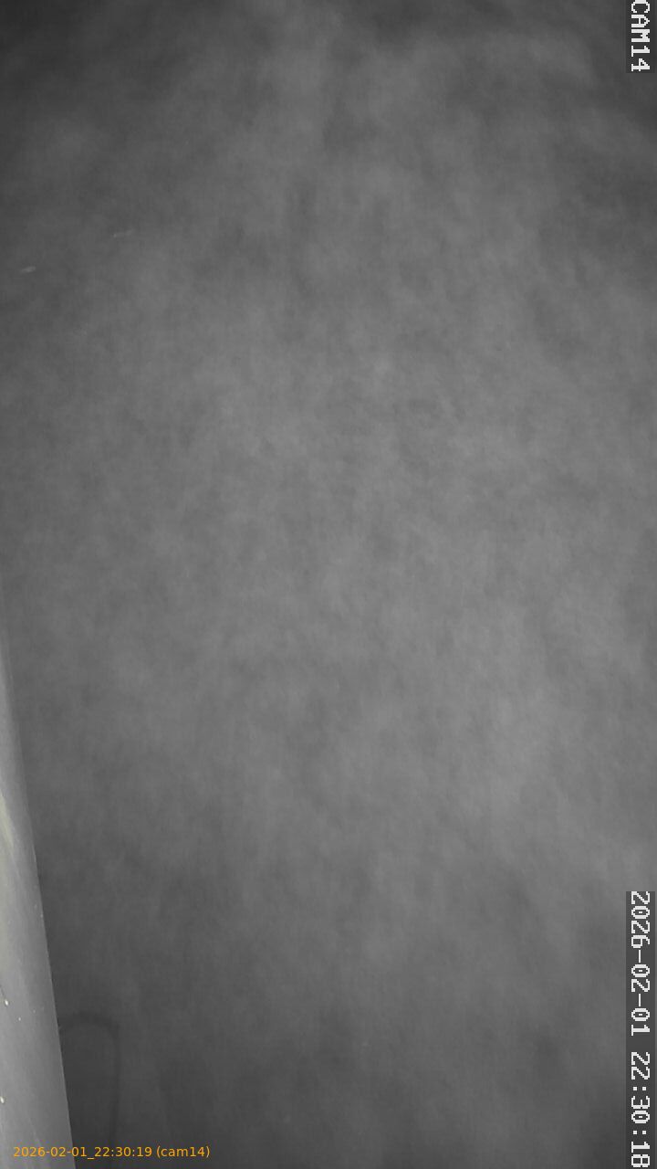 thumbnail_20260201223019