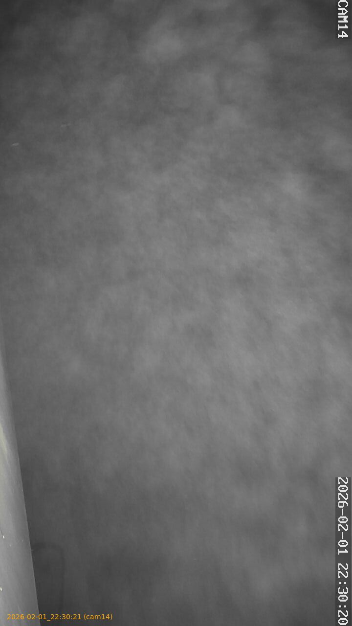 thumbnail_20260201223021