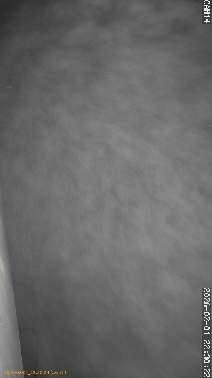 thumbnail_20260201223023