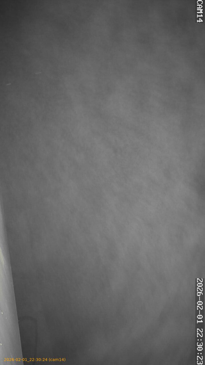 thumbnail_20260201223024