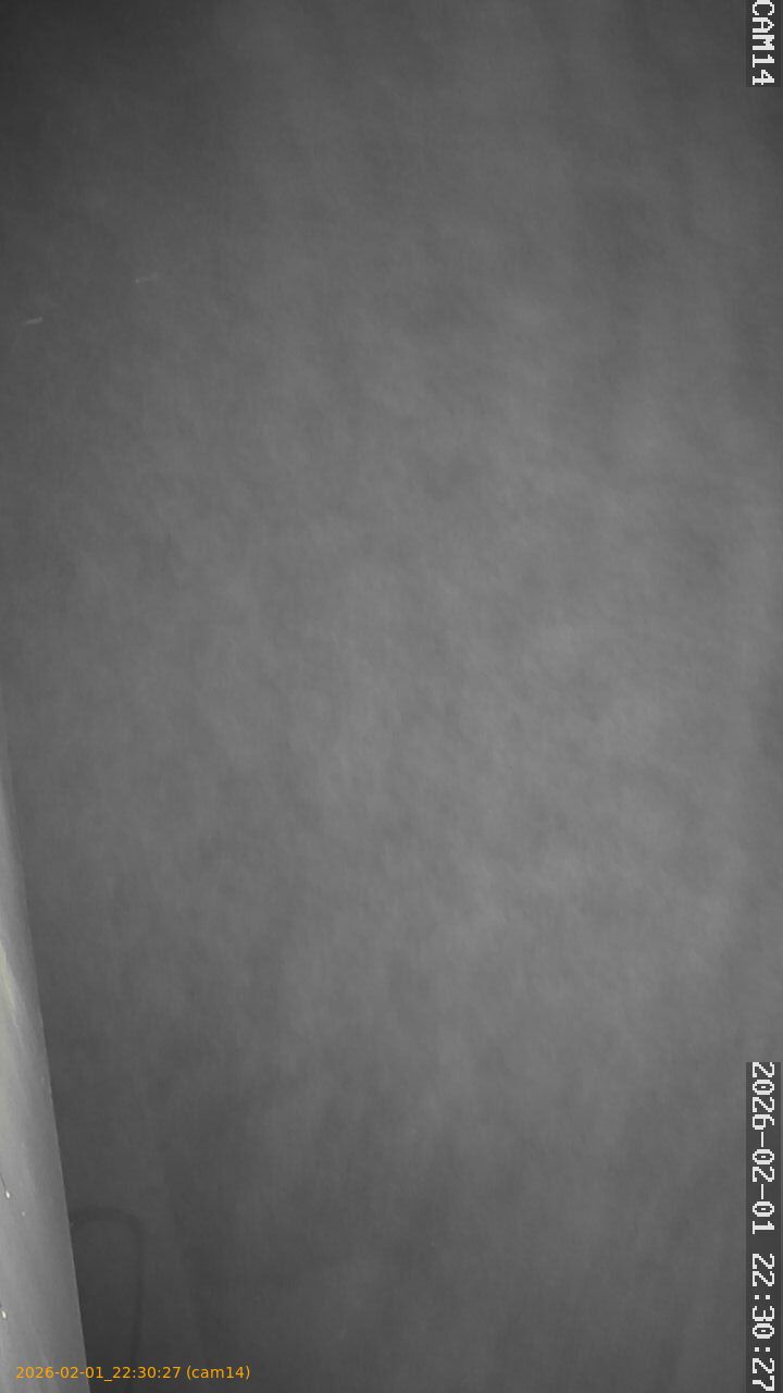 thumbnail_20260201223027