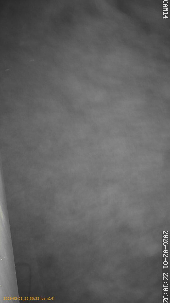 thumbnail_20260201223032