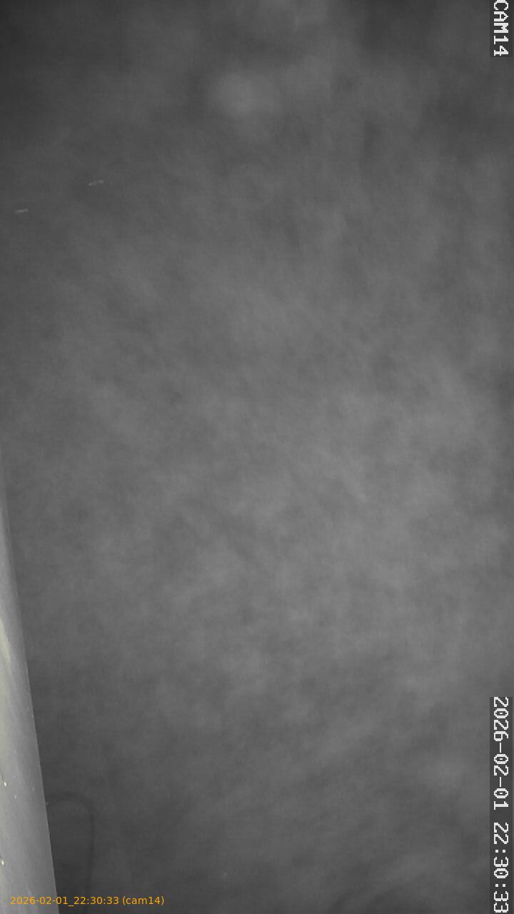 thumbnail_20260201223033