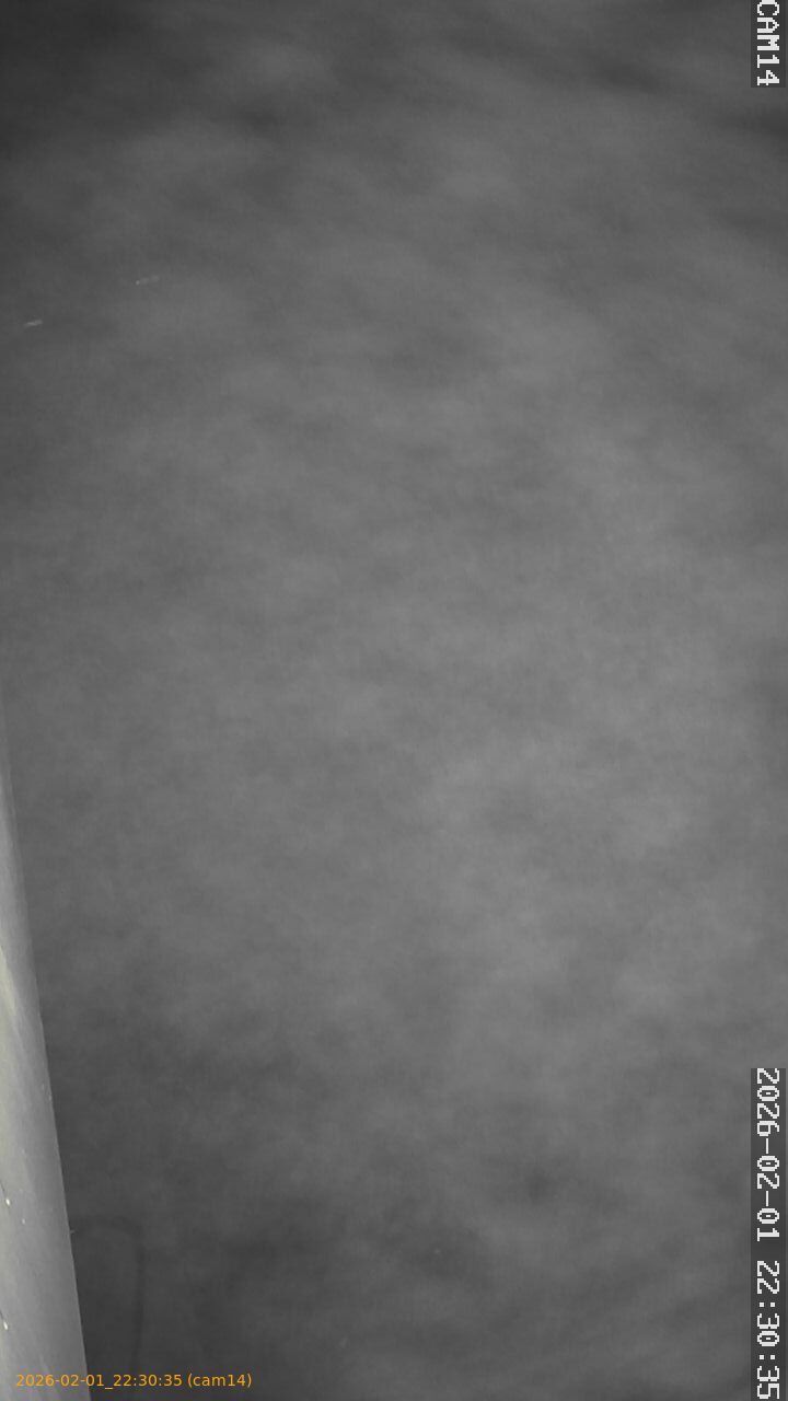 thumbnail_20260201223035