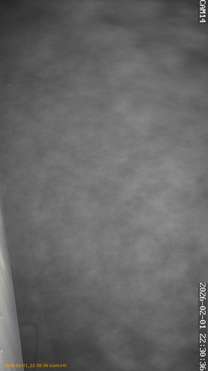 thumbnail_20260201223036