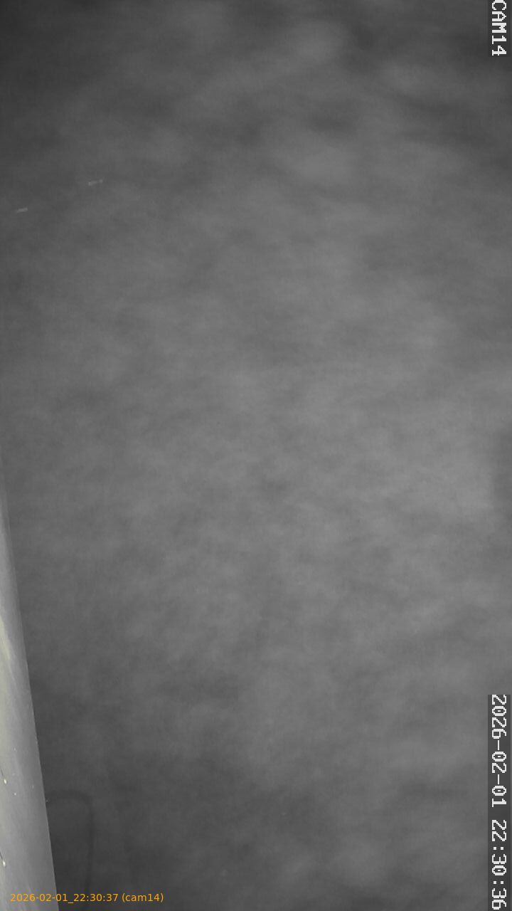 thumbnail_20260201223037