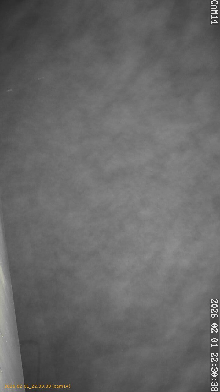 thumbnail_20260201223038