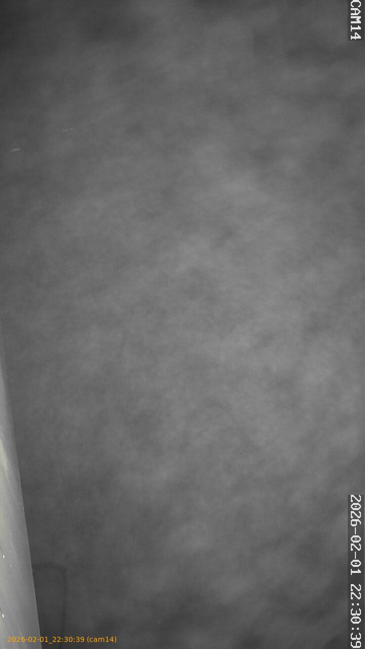 thumbnail_20260201223039