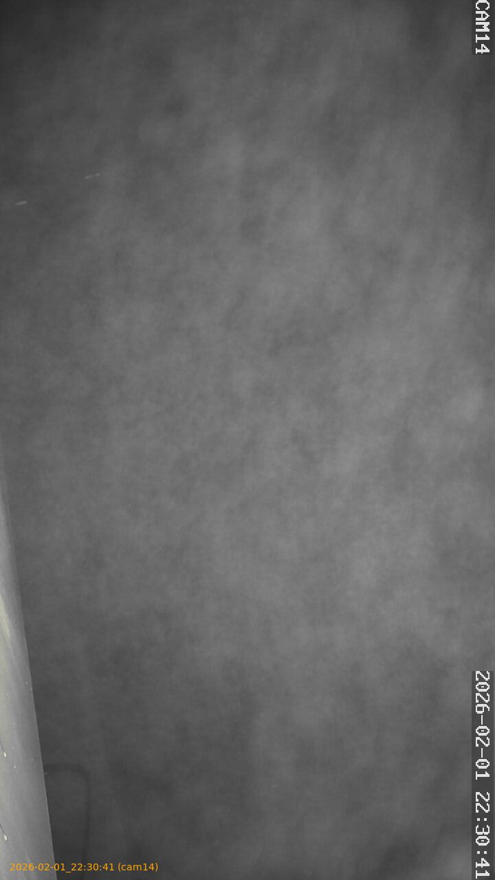 thumbnail_20260201223041