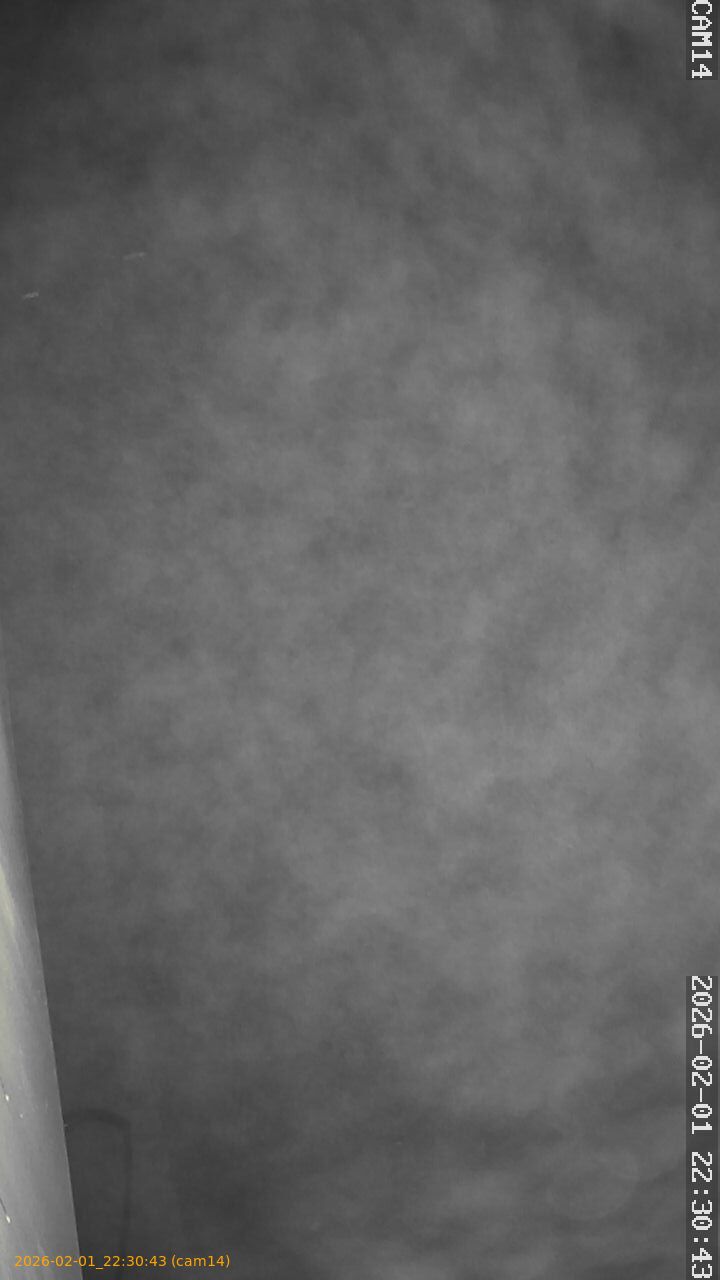 thumbnail_20260201223043