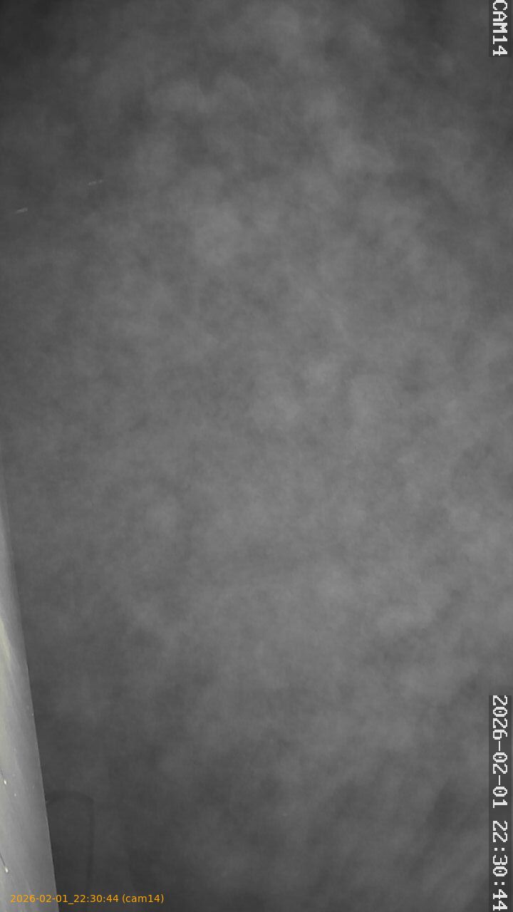 thumbnail_20260201223044