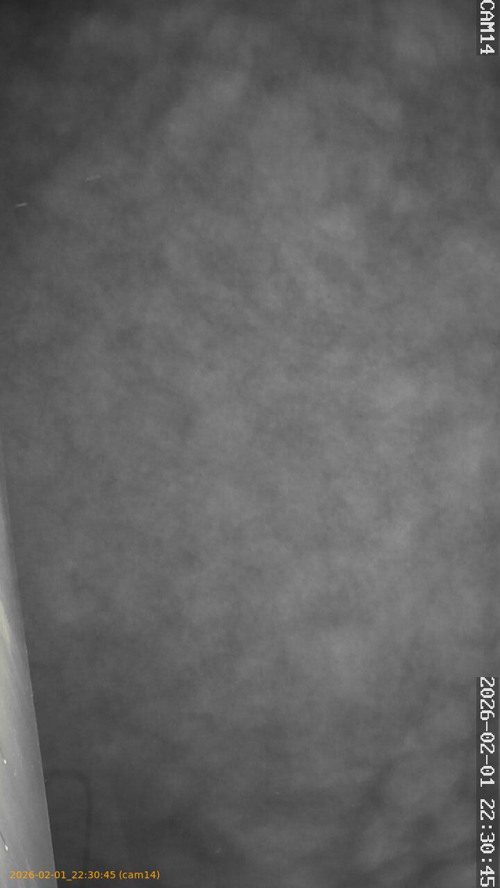 thumbnail_20260201223045