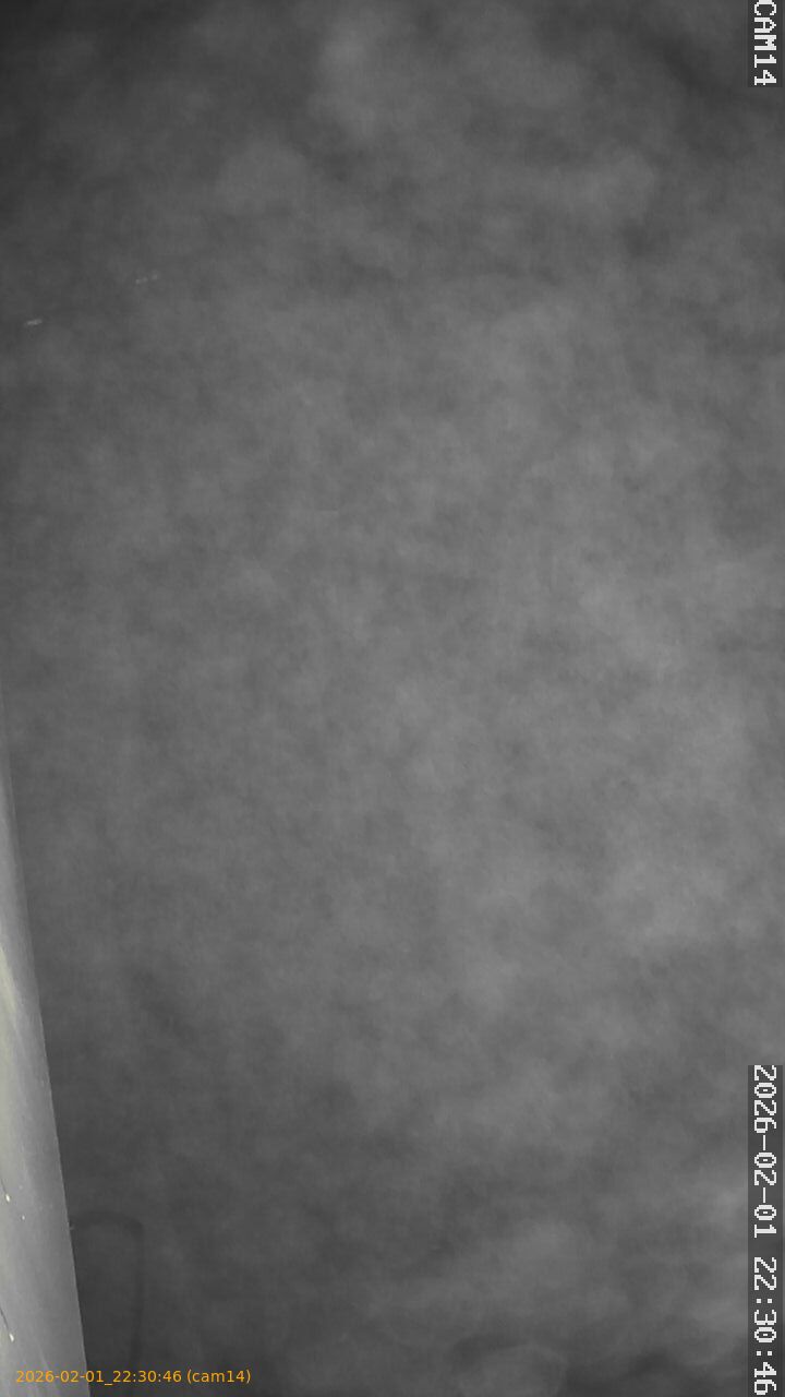 thumbnail_20260201223046