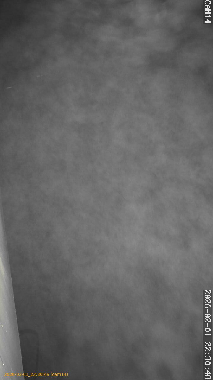 thumbnail_20260201223049