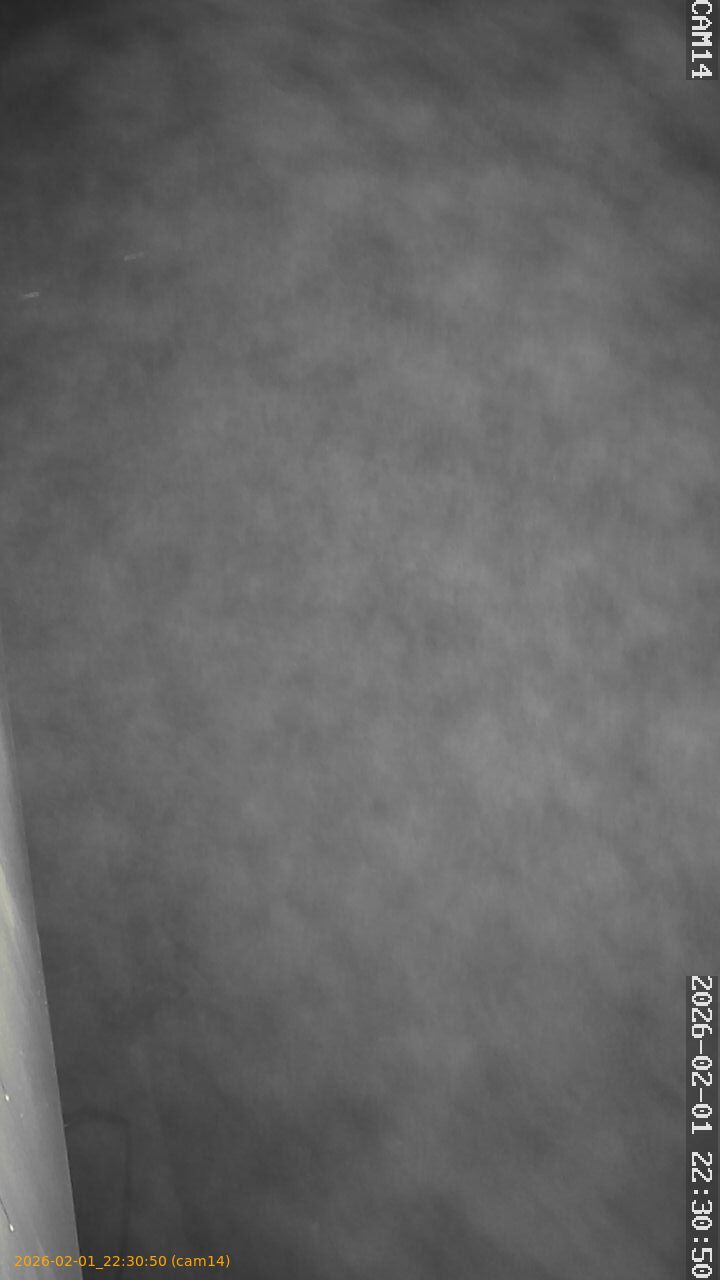 thumbnail_20260201223050